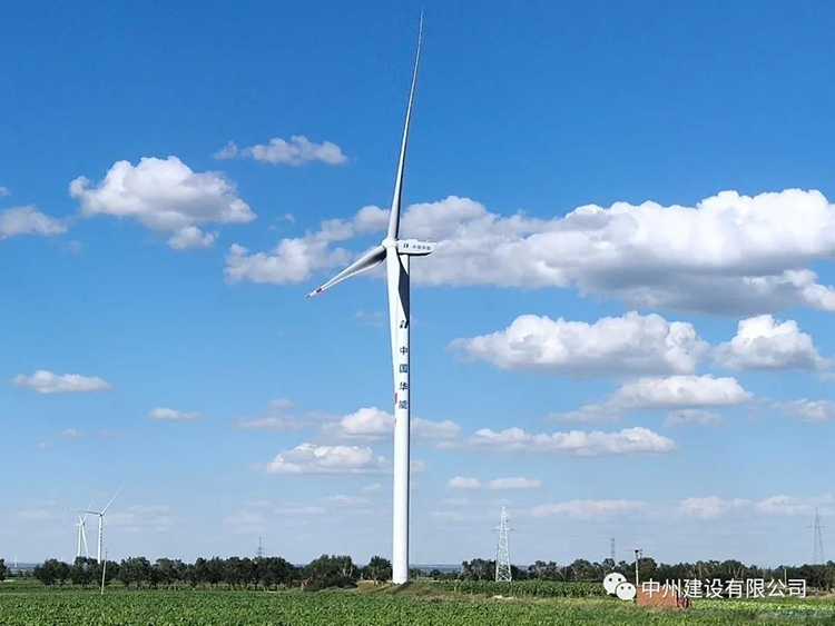 1599098392960082.jpg 6.jpg